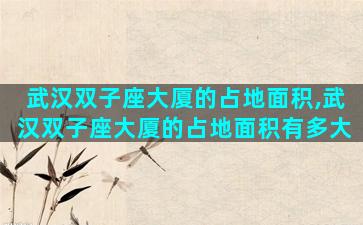 武汉双子座大厦的占地面积,武汉双子座大厦的占地面积有多大