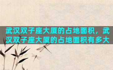 武汉双子座大厦的占地面积，武汉双子座大厦的占地面积有多大