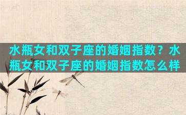 水瓶女和双子座的婚姻指数？水瓶女和双子座的婚姻指数怎么样