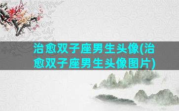 治愈双子座男生头像(治愈双子座男生头像图片)