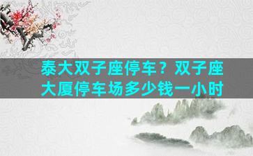 泰大双子座停车？双子座大厦停车场多少钱一小时