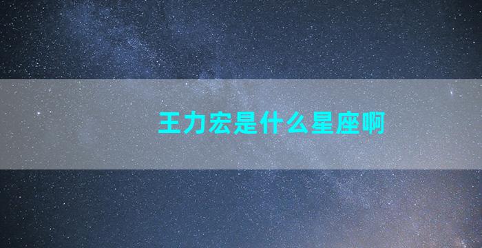 王力宏是什么星座啊