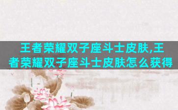 王者荣耀双子座斗士皮肤,王者荣耀双子座斗士皮肤怎么获得