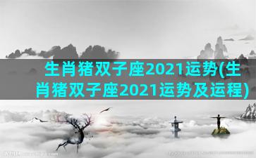 生肖猪双子座2021运势(生肖猪双子座2021运势及运程)