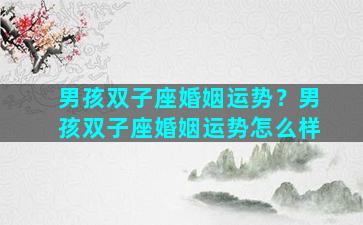 男孩双子座婚姻运势？男孩双子座婚姻运势怎么样