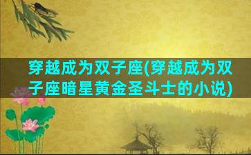 穿越成为双子座(穿越成为双子座暗星黄金圣斗士的小说)