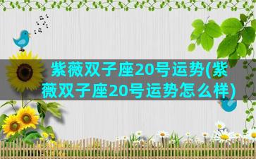 紫薇双子座20号运势(紫薇双子座20号运势怎么样)