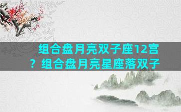 组合盘月亮双子座12宫？组合盘月亮星座落双子