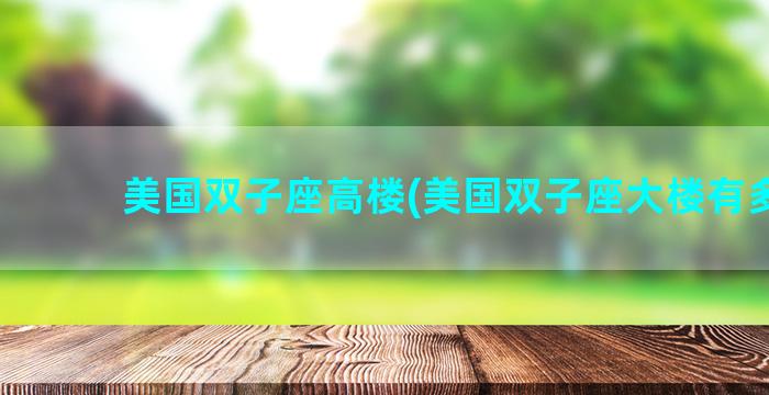 美国双子座高楼(美国双子座大楼有多高)