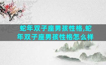 蛇年双子座男孩性格,蛇年双子座男孩性格怎么样