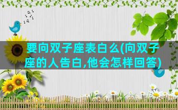 要向双子座表白么(向双子座的人告白,他会怎样回答)