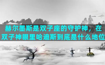 赫尔墨斯是双子座的守护神，在双子神眼里哈迪斯到底是什么地位