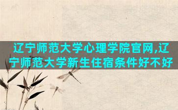 辽宁师范大学心理学院官网,辽宁师范大学新生住宿条件好不好