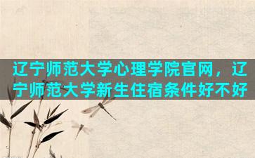 辽宁师范大学心理学院官网，辽宁师范大学新生住宿条件好不好