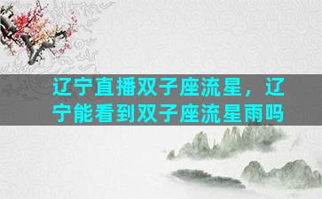 辽宁直播双子座流星，辽宁能看到双子座流星雨吗