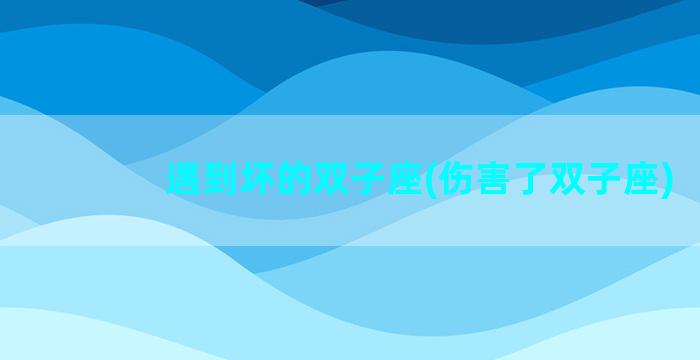 遇到坏的双子座(伤害了双子座)
