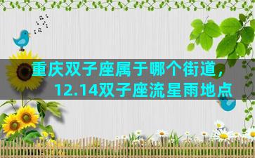 重庆双子座属于哪个街道，12.14双子座流星雨地点
