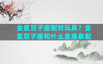 金星双子座配对玩具？金星双子座和什么星座最配