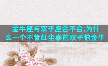 金牛座与双子座合不合,为什么一个不管红尘事的双子怕金牛
