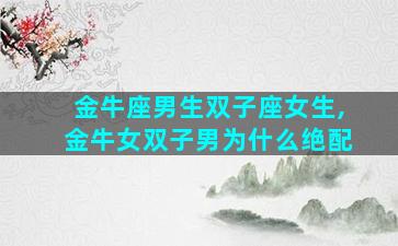 金牛座男生双子座女生,金牛女双子男为什么绝配