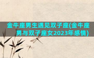 金牛座男生遇见双子座(金牛座男与双子座女2023年感情)