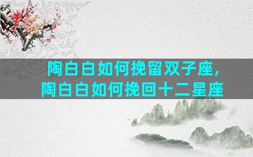 陶白白如何挽留双子座,陶白白如何挽回十二星座