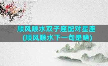 顺风顺水双子座配对星座(顺风顺水下一句是啥)