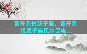 首开熙悦双子座，首开熙悦双子座民水民电...