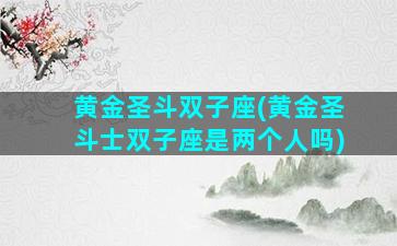 黄金圣斗双子座(黄金圣斗士双子座是两个人吗)